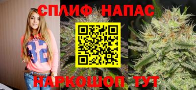 ПСИЛОЦИБИНОВЫЕ ГРИБЫ Ярославль