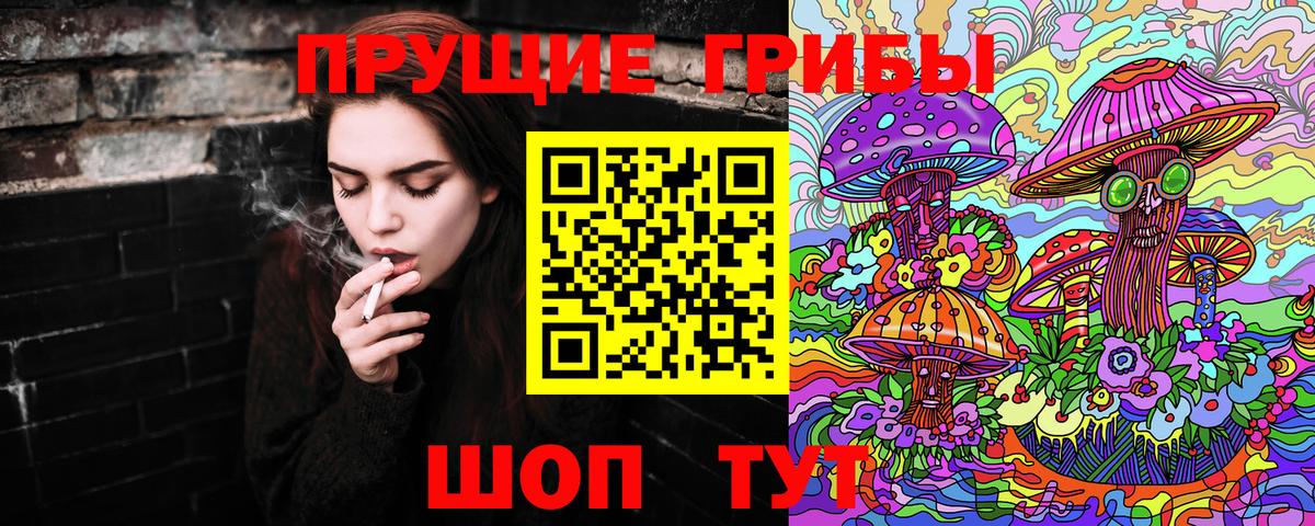 Галлюциногенные грибы GOLDEN TEACHER Кисловодск